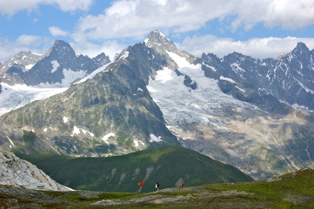 Verbier-saint-bernard